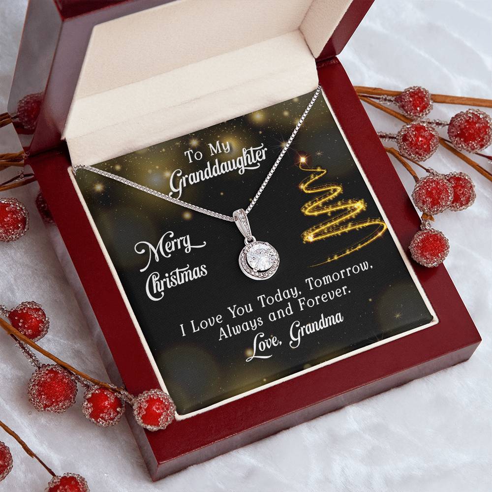 Christmas Gift For Granddaughter - Eternal Hope Necklace